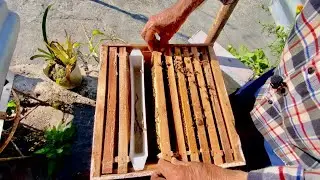 रानु गेट (Queen Gate) किन र कति दिनसम्म लगाउने ? | Nepal Bee Keeping
