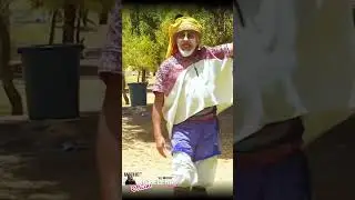 Michelena 