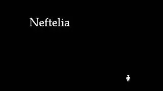 Old Obscure & Unknown Stuff - Neftelia OST - Credits (bongo.wav)