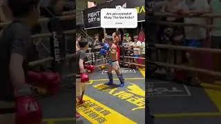 JKD Discovers The Power of Muay Thai low kicks