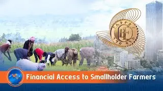 Financial Access for Smallholder Farmers Key to Boosting Food Self-Sufficiency