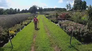 Triad farmers facing extreme weather conditions