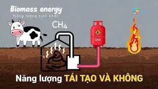Năng lượng T&Aacute;I TẠO V&Agrave; KH&Ocirc;NG
