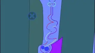 Water and marbles race Algodoo