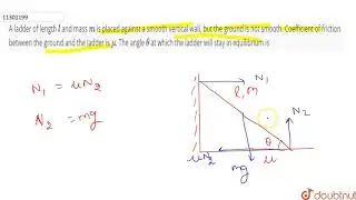 A ladder of length `l` and mass `m` is placed against a smooth vertical wall, but the ground is ...