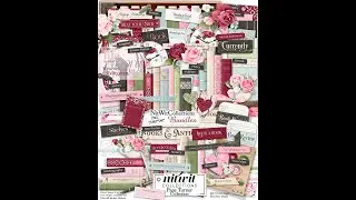 Card Making & Scrapbook Ideas Abound With This Creative  Kit | Book Lovers, Beginner Friendly!