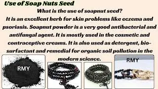 RMY Soap Nuts Seeds Powder Uses Benefits