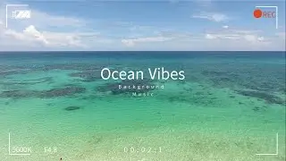 [Deep House] Deviana Sharon S  -  Its All In the Feeling and Energy (Background Music)