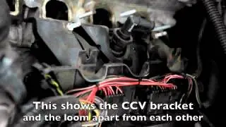 BMW N42 / N46 Compact CCV Valve Replacement