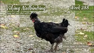Viking Nalbinding with Karin & Karl; Week 288