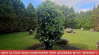 The luck of the Irish, magic, fairies, ancient stone circles and hawthorne trees!