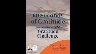 60 Seconds of Gratitude - Relationships to Infinity Gratitude Challenge - Dr. Steve Silvestro
