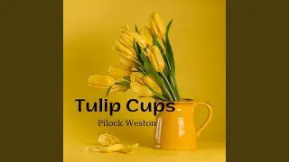 Tulip Cups