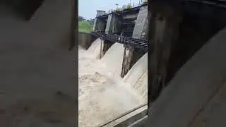 🤔🤔Top 10 largest Dams in india || Top Tens #short