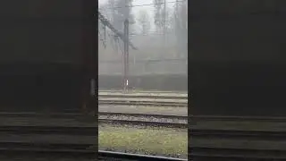 A Foggy day in Luxembourg | Winter #viral #shortvideos #shorts