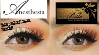 Anesthesia addict NOCCIOLA  COMPARISON TO  Bella color lenses Oak |summer lenses 2023