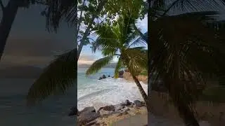 #fyp #TikTok#Viral#Shorts#ViralBuzz#TrendingNow#TopMoment#MustWatch Comment below! 👇