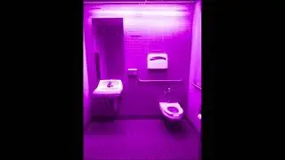 I-Want-Candy-Cody-Simpson Potty-Light-Switch-On/Purple/Off/Black-Bathroom Slow-Jesse-Slower-Father 