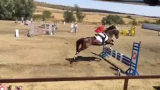 Губар. КСОК 