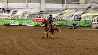 Famous Ole Son, Lucky Dog Productions Derby 1st go/ Breeders Challenge Finals Qualified 05-04-2023