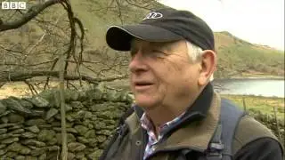 England's last golden eagle feared dead   BBC News
