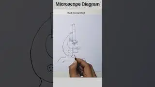 Compound Microscope Drawing #shorts #microscopedrawing #youtubeshorts
