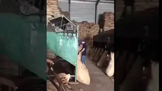 Cashew nut grading working factory