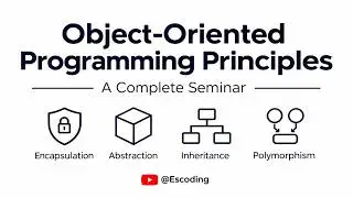 Object-Oriented Programming Principles Explained | OOP Fundamentals
