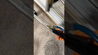 Carpet cleaning, steam cleaning, carpet stain removal, asmr cleaning, Prochem Steempro Powerplus
