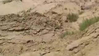 beach destruction