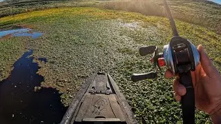 Can we catch bass here in January?
