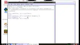 Python exercise: read line of input, 'q' to quit