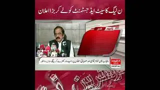 Announcement Of PML-N Regarding Election Campaign And Seat Adjustment In Punjab
