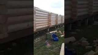 Собираем большую баню из оцилиндровки в Гатчинском районе #стройка #сруб #оцб #бревна