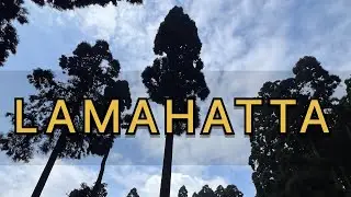 EXPLORINGLAMAHATTA:A ROMANTIC PLACE NEAR DARJEELING#ROADSIDEGARDEN#ECOPARK# MEANS A MONK’S HERMITAGE