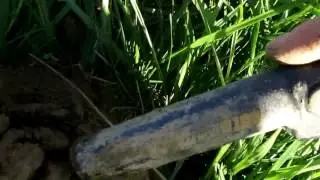 Diamond Ring and silver coins found metal detecting treasure hunting.