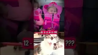 Why wear a life jacket when going on a cruise? #cat #meow #cute #trending #baby #funny #viral
