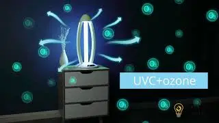 Desinfecci&oacute;n UV-C, Libre de Virus, Bacterias y &Aacute;caros!