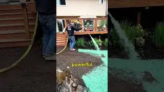 Dirty water in forest
