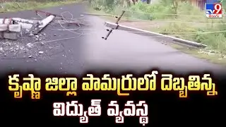 Cyclone Montha : కృష్ణా జిల్లా పామర్రులో దెబ్బతిన్న విద్యుత్ వ్యవస్థ - TV9