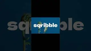 Sqribble: Create Something Magical!