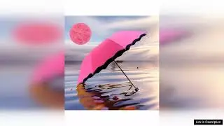 1pc Manual Folding Umbrella Reverse Tri-Fold Design High-Density Pongee Fabric Solid Review