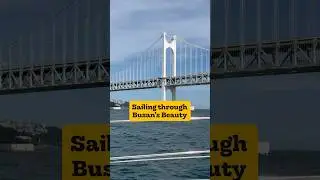 Yacht Tour Around Gwangan Bridge: Busan&rsquo;s Unique Stunning Ocean View