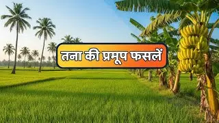 तना की प्रमुख फसलें | by Suraj sir | Suraj success point|#EducationMatters#LearningEveryday