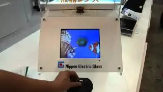 Nippon Electric Glass