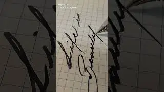 Life is Beautiful - Sailor NM vs. Zoom nibs...