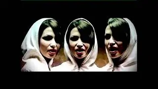 Fly Project - Raisa (English Version)