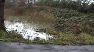 Shefford Flood - January 2003