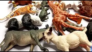11:18 Horse, Zebra, & Safari Animals Unboxing🎁🐂| ASMR Collectibles Review #36