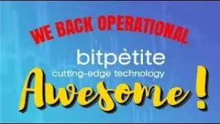 Bitpetite Site is Back - They are not gone !